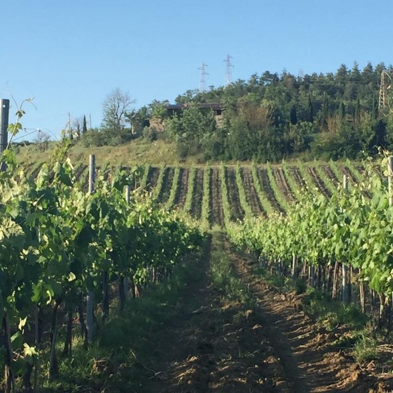Agriturismo Il Poggio Di